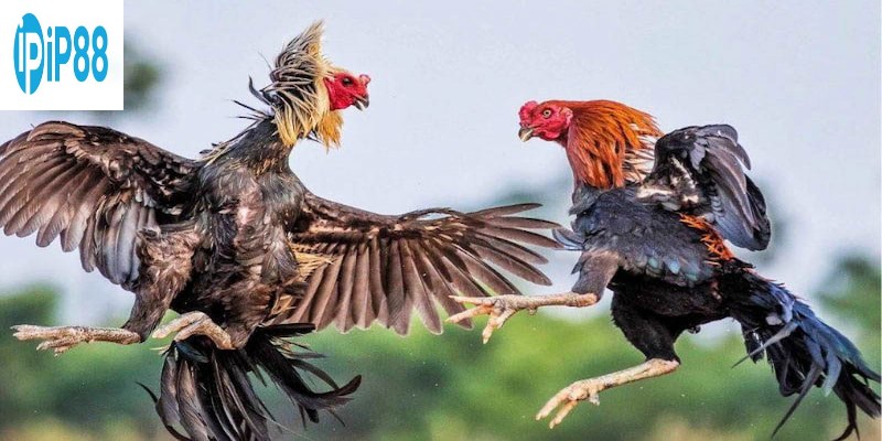 Bạn có thể an tâm tham gia các hoạt động mà không lo sợ bị theo dõi